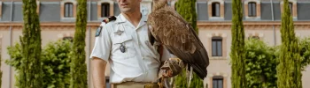 Roccia, nouvelle mascotte du 17e Régiment du génie parachutiste de Montauban