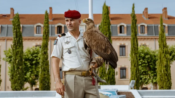 Roccia, nouvelle mascotte du 17e RGP Roccia, nouvelle mascotte du 17e Régiment du génie parachutiste de Montauban