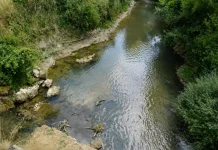 Sécheresse : de nouvelles restrictions d’eau entrent en vigueur samedi en Tarn-et-Garonne Cours d'eau à faible niveau en Tarn-et-Garonne, illustrant les restrictions d'eau mises en place face à la sécheresse.