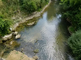 Sécheresse : de nouvelles restrictions d’eau entrent en vigueur samedi en Tarn-et-Garonne Cours d'eau à faible niveau en Tarn-et-Garonne, illustrant les restrictions d'eau mises en place face à la sécheresse.