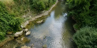 Sécheresse : de nouvelles restrictions d’eau entrent en vigueur samedi en Tarn-et-Garonne Cours d'eau à faible niveau en Tarn-et-Garonne, illustrant les restrictions d'eau mises en place face à la sécheresse.