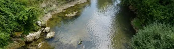 Cours d'eau à faible niveau en Tarn-et-Garonne, illustrant les restrictions d'eau mises en place face à la sécheresse.