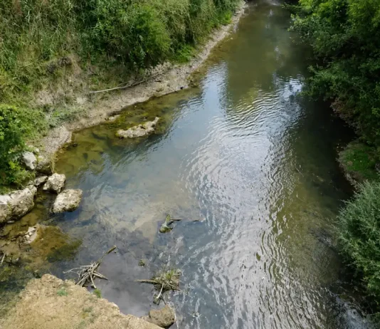 Sécheresse : de nouvelles restrictions d’eau entrent en vigueur samedi en Tarn-et-Garonne Cours d'eau à faible niveau en Tarn-et-Garonne, illustrant les restrictions d'eau mises en place face à la sécheresse.