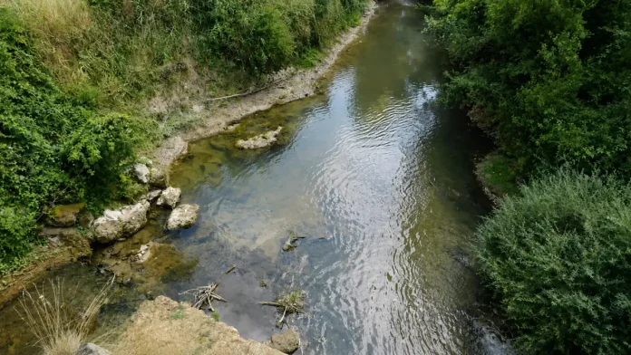Sécheresse : nouvelles restrictions d'eau en Tarn-et-Garonne Cours d'eau à faible niveau en Tarn-et-Garonne, illustrant les restrictions d'eau mises en place face à la sécheresse.