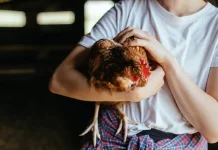 500 poules attendent encore un adoptant en Occitanie, un rendez-vous à Miramont-de-Quercy samedi Des poules rousses issues d'un élevage attendent leur adoption lors d'une opération organisée par l'association Champs Libres aux Poules en Tarn-at-Garonne.
