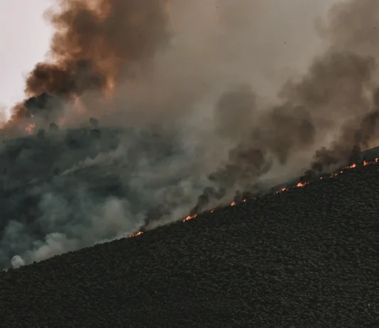 Tarn-et-Garonne : les fumées des incendies en Gironde déclenchent une alerte pollution Brume de pollution réduisant la visibilité lors d'un épisode de mauvaise qualité de l'air.