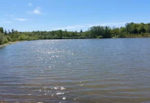 Montauban. Cinq mois de travaux et 460 000 € pour sécuriser le barrage de La Piboulette Le lac de La Piboulette à Montauban