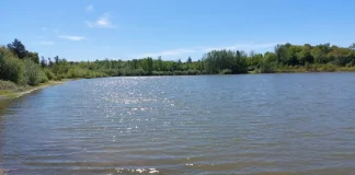 Montauban. Cinq mois de travaux et 460 000 € pour sécuriser le barrage de La Piboulette Le lac de La Piboulette à Montauban