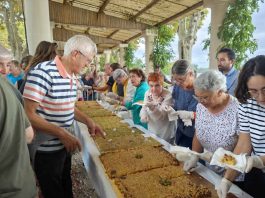 Moissac. Tarte géante, ferme pédagogique, concerts… la Fête des fruits et saveurs revient ce week-end Découpe de la tarte géante au Chasselas lors de la Fête des fruits et saveurs à Moissac