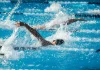 Montauban. Des médaillés olympiques attendus à Ingréo pour les championnats militaires de natation Nageurs en compétition dans une piscine, dans plusieurs couloirs de nage